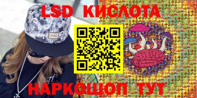 индика Гусиноозёрск