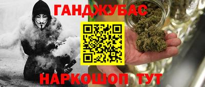 индика Гусиноозёрск